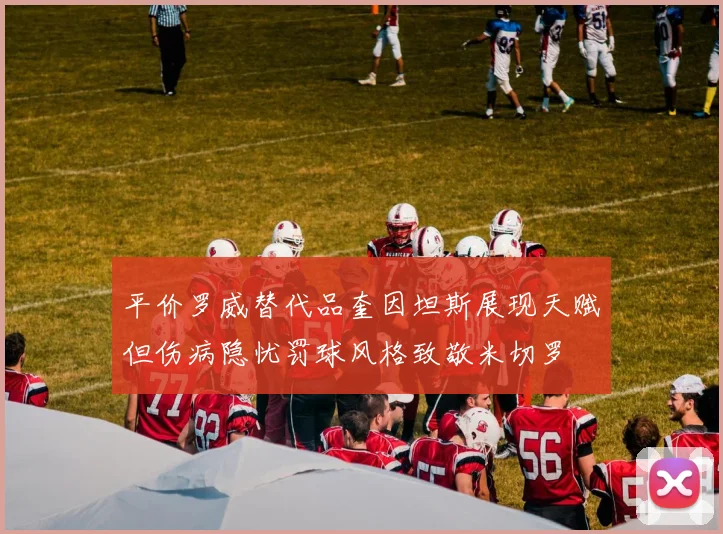 平价罗威替代品奎因坦斯展现天赋但伤病隐忧罚球风格致敬米切罗