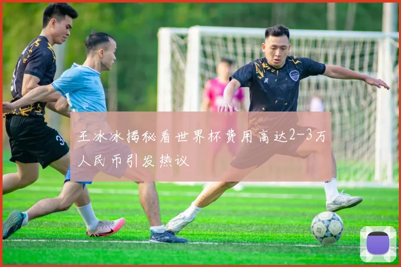 王冰冰揭秘看世界杯费用高达2-3万人民币引发热议