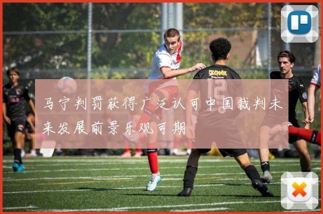 马宁判罚获得广泛认可中国裁判未来发展前景乐观可期
